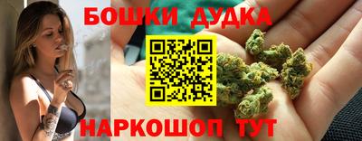 СК Кандалакша