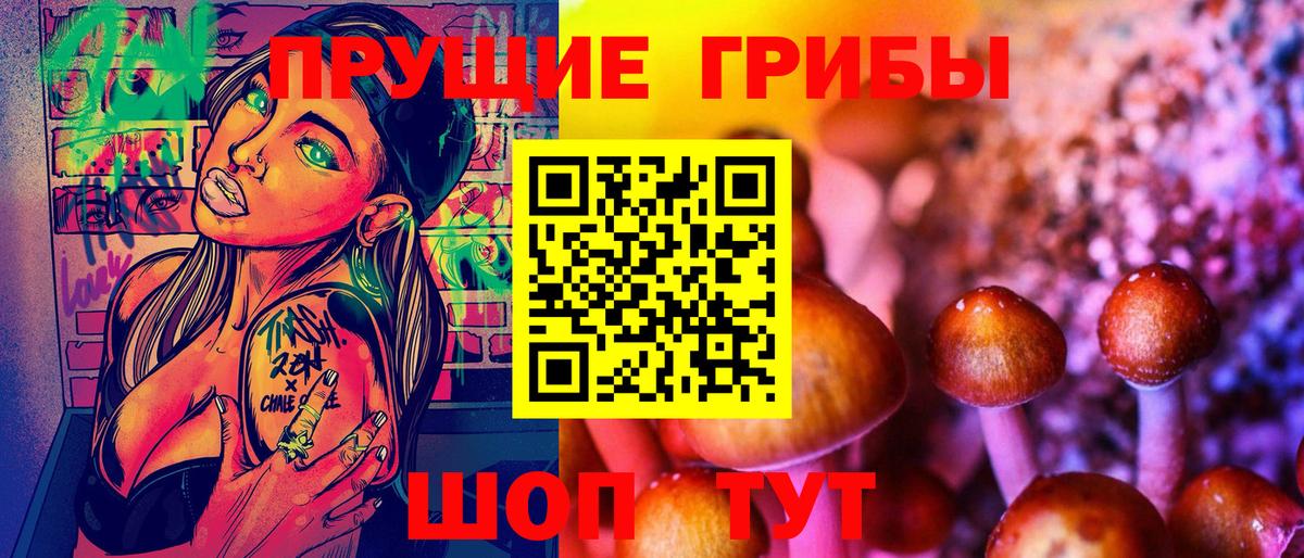 Галлюциногенные грибы Psilocybine cubensis Конаково